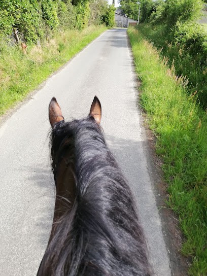 Les Ecuries de Champeaux, Pension pour Chevaux à Treillières