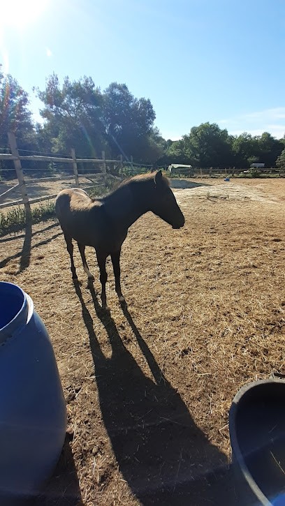LES CAVALIERS DE BEGADAN, Centre Equestres à Peyrolles-en-Provence