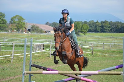 ECURIE DE MASSORAN, Centre Equestres à Crozet
