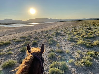 Écurie des Garrigues, Centre Equestres à Leucate