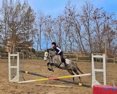 Management Heberg Cerf, Centre Equestres à Marcoux