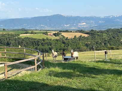 La Pension De Bellevue Pension Pour Chevaux à Geyssans