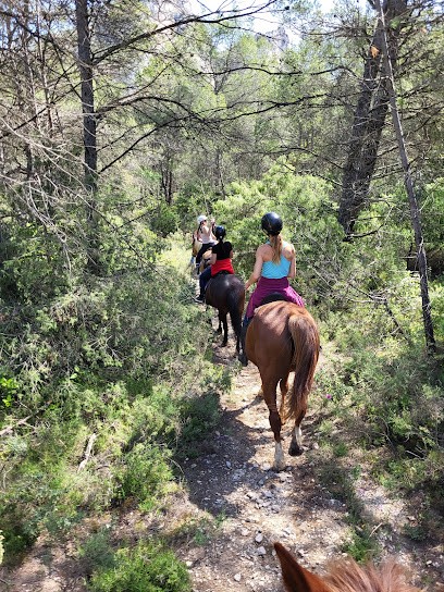 Chev'Alpilles (Promenade à Cheval à Saint-Rémy De Provence), Centre Equestres à Saint-Rémy-de-Provence