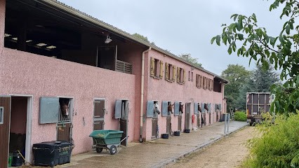 Stud Du Croc Marin, Centre Equestres à Montigny-sur-Loing
