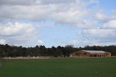 HARAS DE FONTAINEBLEAU - ECURIES SINGER, Pension pour Chevaux à Achères-la-Forêt