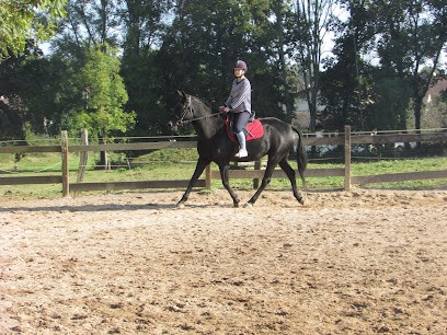 Les Ecuries De Chailles, Centre Equestres à Villersexel