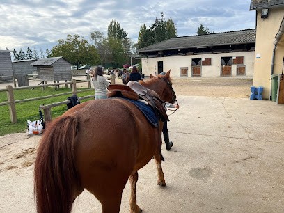 HARAS DES VIGNES, Centre Equestres à Tacoignières
