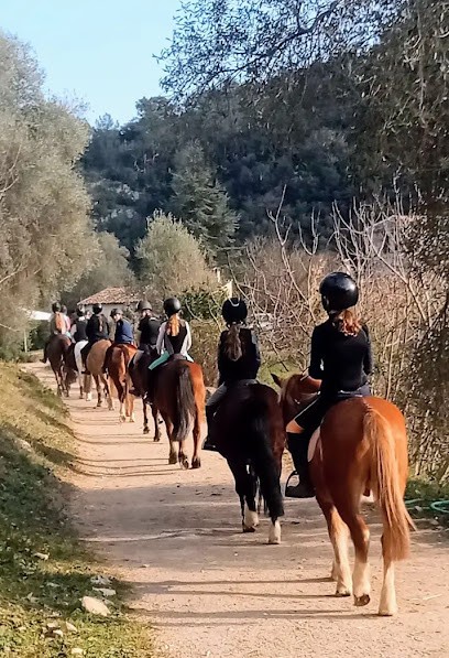 Horse Riding Ecole De La Colle Sur Loup, Centre Equestres à La Colle-sur-Loup