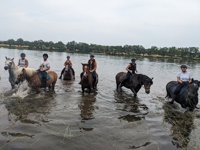 Equestrian Center Chêne Vert, Centre Equestres à Saint-Eusèbe