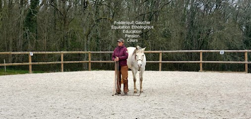 Farm Equestre De Belle Oreille, Pension pour Chevaux à Saint-Avit-de-Vialard