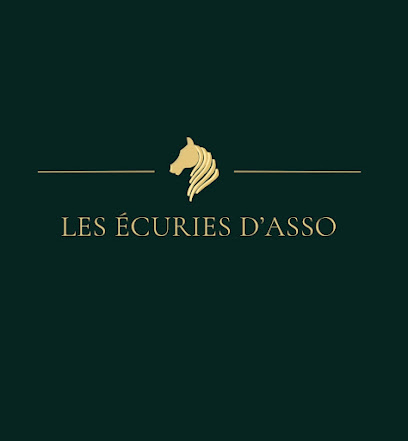 Les Écuries D'asso Pension Pour Chevaux à Val d'Erdre-Auxence