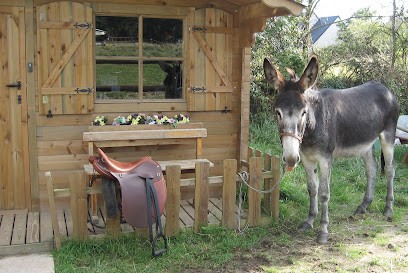 Autour de l'âne, Centre Equestres à Canville-la-Rocque