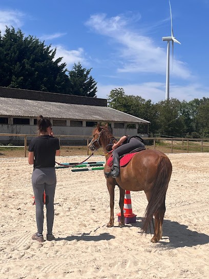 Ecurie De Merel, Centre Equestres à Nozay