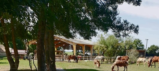 CHEVAL & VIE, Pension pour Chevaux à Secondigné-sur-Belle
