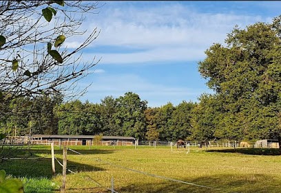 Les écuries d'Elwing, Centre Equestres à Baracé
