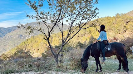 Soubrana Cheval Montagne, Centre Equestres à Peille