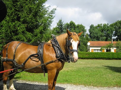 ATTEL'CRIN, Centre Equestres à Saint-André-de-Lidon