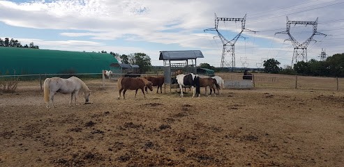 CENTRE EQUESTRE DE LA COMBE DU BION, Centre Equestres à Saint-Maurice-de-Gourdans