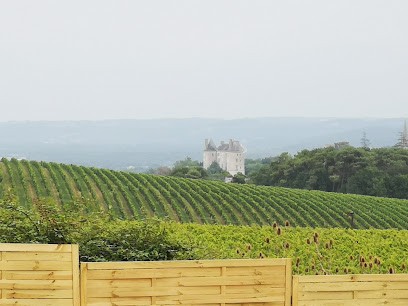 EQUI VITIS, Centre Equestres à Saint-Pierre-de-Buzet