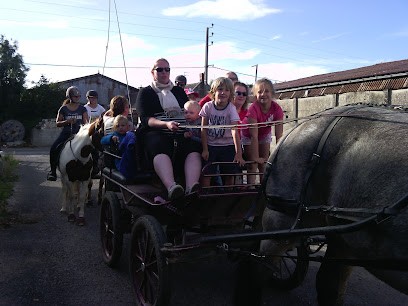 Vandenberge Arnaud, Centre Equestres à Fresnicourt-le-Dolmen
