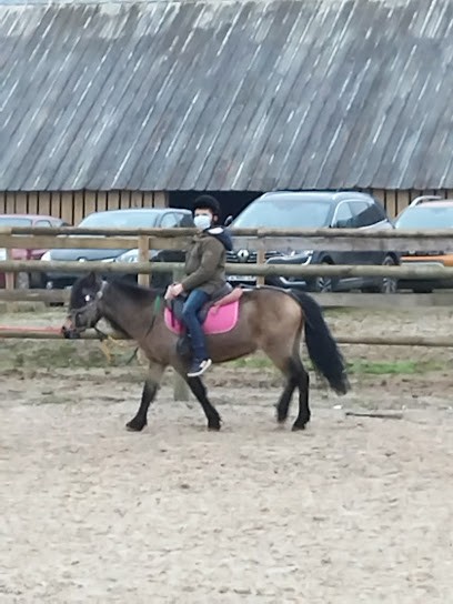 Ecuries De La Sensée, Centre Equestres à Hamel