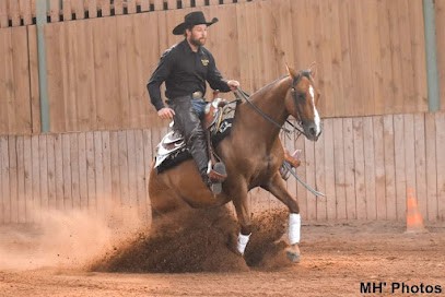 Quarter Horse 55, Pension pour Chevaux à Vadelaincourt