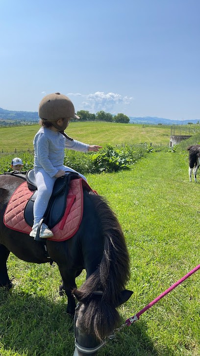 La ferme du champ rouge, Pension pour Chevaux à Manglieu