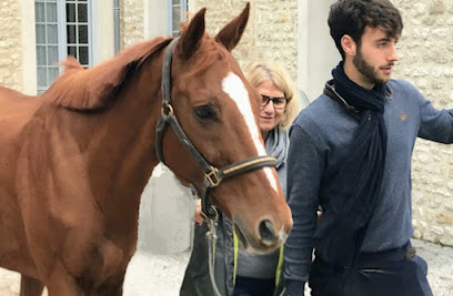 Terra Hipica Equitherapie Et Soin Énergétique Yvelines, Centre Équestre à Gilles