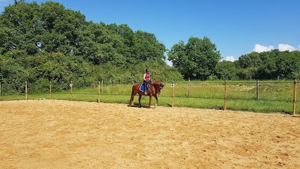 Ecurie De Cante Merle, Centre Equestres à Giroussens