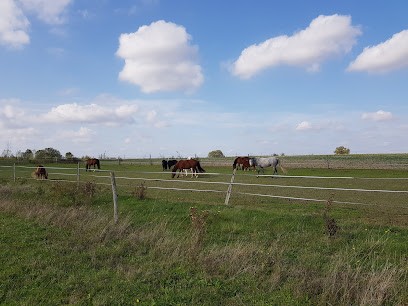 Les Ecuries de Montifray - Poney Club, Stages, Pensions, Arts Equestre, Centre Equestres à Dolus-le-Sec