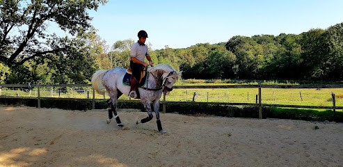 Ecuries Wallace, Centre Equestres à Lourenties