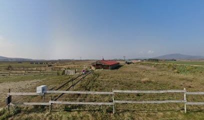 Les écuries Du Lamazen, Pension pour Chevaux à Bonlieu-sur-Roubion