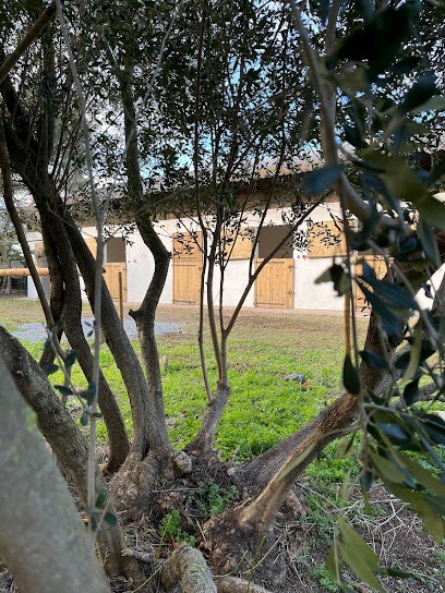 Pink Ranch, Centre Equestres à Vias