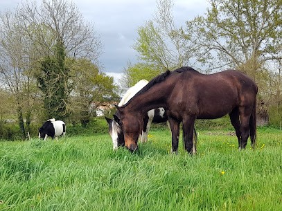 Ecuries Des Pradats 79, Pension pour Chevaux à Fenioux