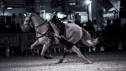 Gaec Du Cerneux, Centre Equestres à Maîche