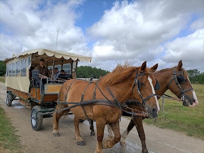 Les Attelages de Villandry, Centre Equestres à Villandry