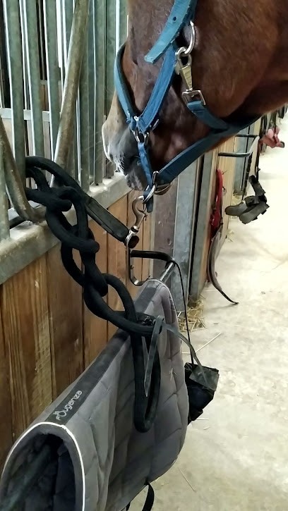 CENTRE EQUESTRE DE LA MUZE, Centre Equestres à Saint-Memmie