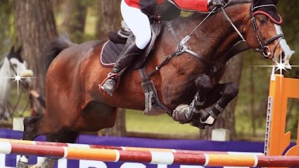 ÉCURIES DE LA VILLE AU BOIS, Centre Equestres à Saint-Hilliers