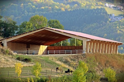 Stables Phil Horse, Centre Equestres à Saint-Chamond