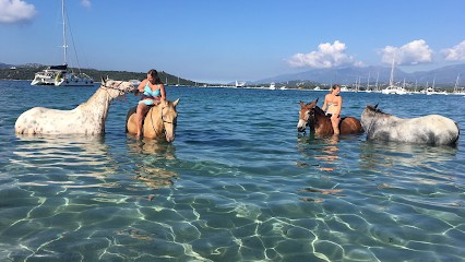 Country Horse, Centre Equestres à Lecci
