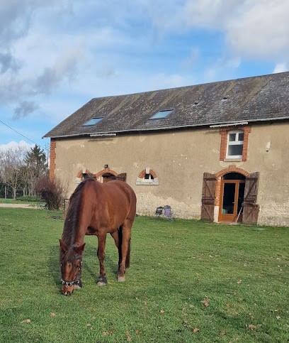 Location Pré Les Grandes Maisons Lorris, Pension pour Chevaux à Lorris
