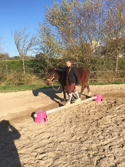 Pony Club De Cabourg, Centre Equestres à Varaville