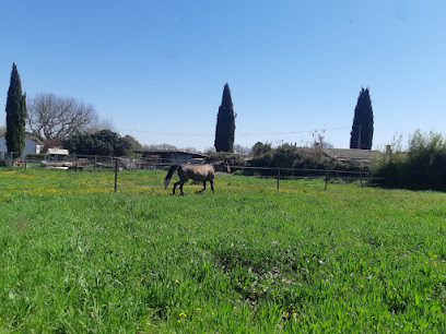 Eden Horse Pension Pour Chevaux à Fuveau