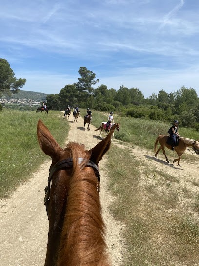 Equestrian Club De Velaux, Centre Equestres à Velaux