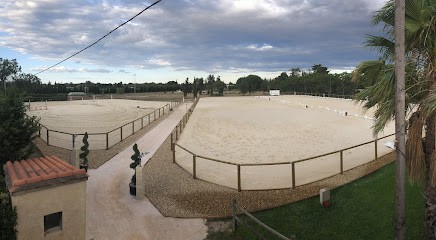 Horse Riding Ecole De Rivesaltes, Centre Equestres à Rivesaltes