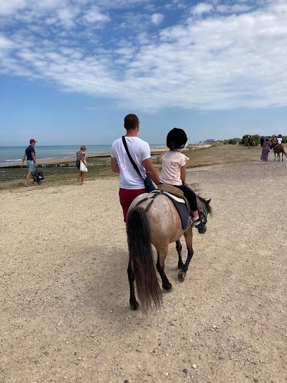 Courseulles Riding, Centre Equestres à Courseulles-sur-Mer