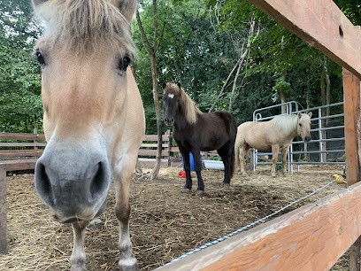 Epona Club Nature, Centre Equestres à Saint-Germain-en-Laye