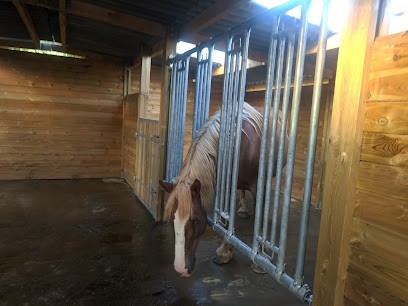 Pension chevaux ZALDI-ETXEA, Pension pour Chevaux à Saint-Pée-sur-Nivelle