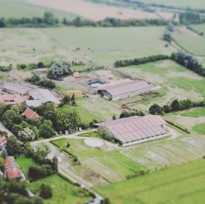 Ecuries Du Brusle, Pension pour Chevaux à Beaucamps-Ligny