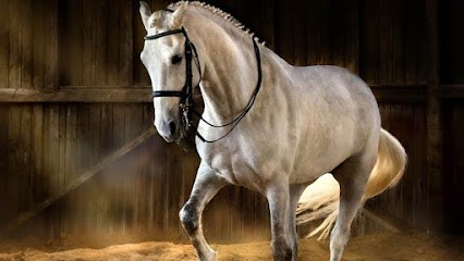 EQUI JUMP, Centre Equestres à Moissac